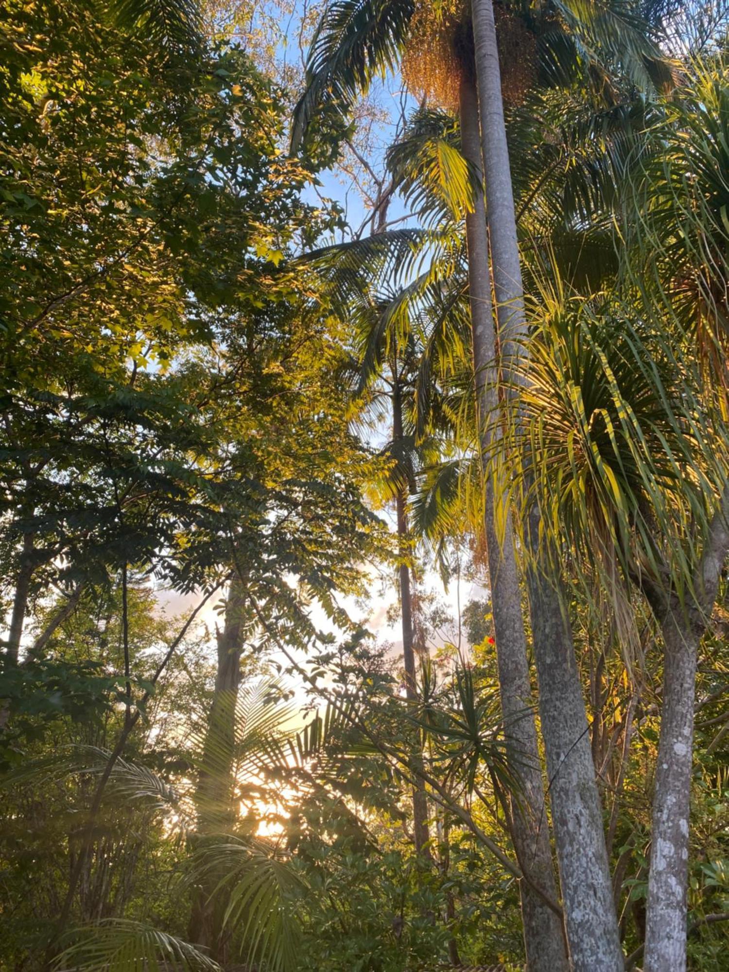 Nimbin Waterfall Retreat Exterior photo
