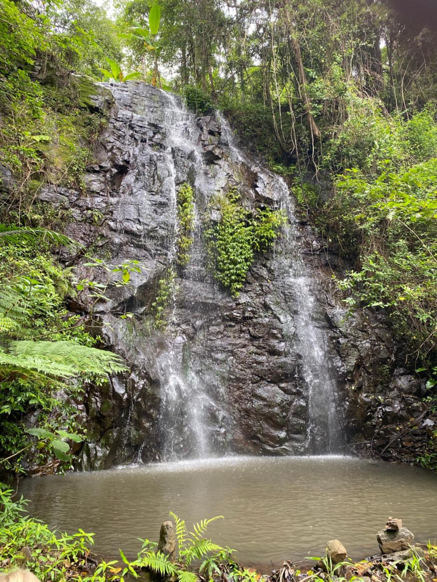 Nimbin Waterfall Retreat Exterior photo